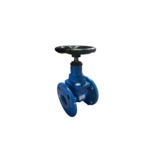 VALVULA GGG COMPUERTA C/E BB DN 50 PN 10-16 C/VOL